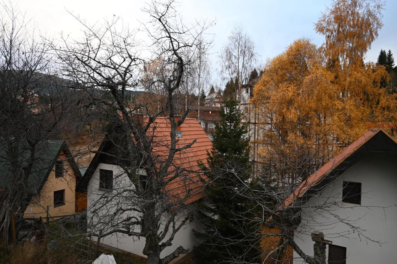 Apartman Vukasin Kopaonik Buitenkant foto