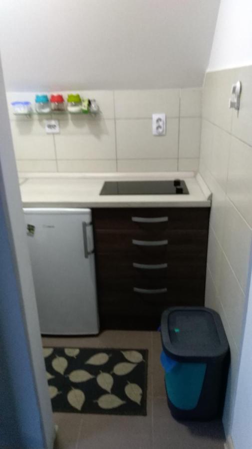Apartman Vukasin Kopaonik Buitenkant foto